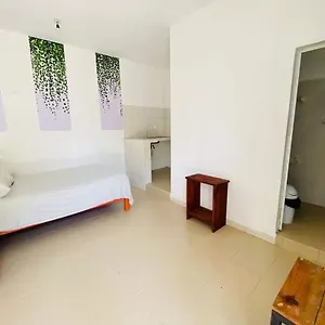 https://cuartos-yax-muul.allrivieramayahotels.com
